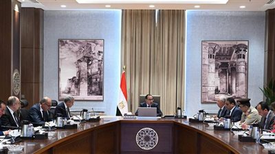 مدبولي: جاهزية الجهاز المصرفي لإتاحة أي مكون دولاري لزيادة الاحتياطي الاستراتيجي من السلع الرئيسية