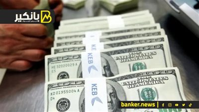 اعرف مصر سددت كام من ديونها؟