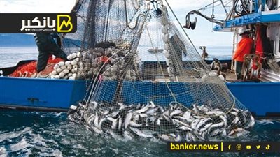 حملة مقاطعة الأسماك: وصلنا لـ 25 محافظة .. والتاجر تعود على المكسب الكبير مش عايز ينزل عنه