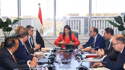  المشاط تبحث مستجدات التعاون مع البنك الدولي في تنفيذ وثيقة سياسة ملكية الدولة