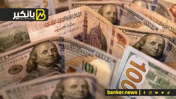 الدولار
