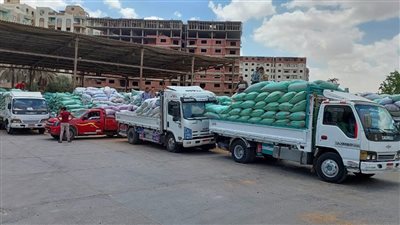 التموين: توريد نحو 1.8 مليون طن قمح محلي حتي الآن وصرف المستحقات خلال 48 ساعة