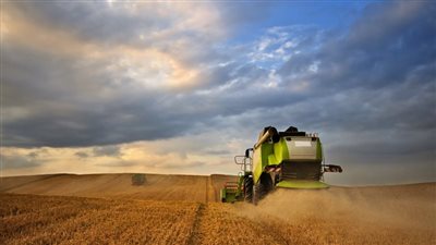 هيئة السلع التموينية في مصر تشتري 420 ألف طن من القمح في ممارسة دولية