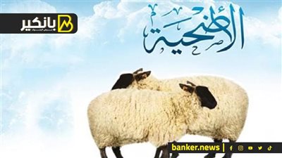 قبل ما تشتري أضحية العيد.. شوف نصايح وأسعار الأضاحي بمنافذ وزارة الزراعة