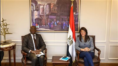 المشاط تؤكد أهمية التعاون مع البنك الأفريقي للتنمية لتوفير الدعم المالي والفني للقطاع الخاص