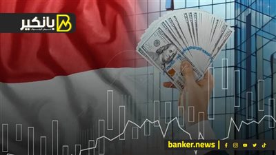 ايه اللي بيحصل في امتداد طريق الضبعة في صحراء مصر