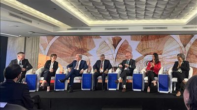 المشاط: منظومة بنوك التنمية متعددة الأطراف تشكل داعما للقطاع الخاص لزيادة الاستثمارات