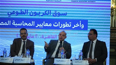 الرقابة المالية: إعلان قواعد تداول وتسوية شهادات الكربون خلال أسابيع
