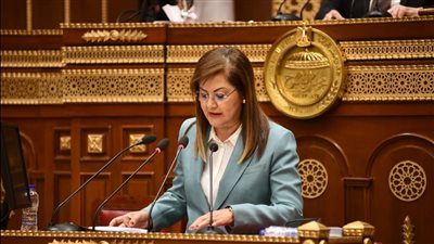 وزيرة التخطيط: أولوية لدفع عجلة النمو في القطاعات السلعية الزراعية والصناعية