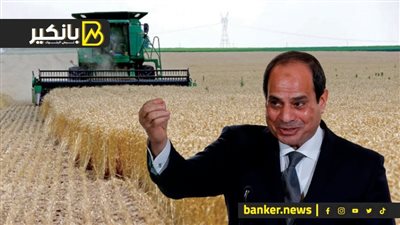 قرار  خطير من السيسي.. وأخطر تقرير عن القمح في مصر.. ومفاجآت سوق الدهب في الايام  الجاية