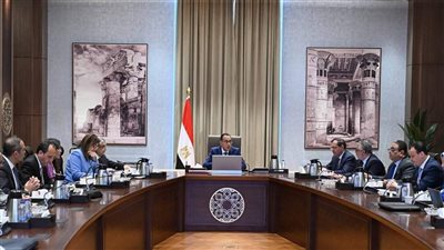 مدبولي يُشدد على سرعة تحويل عدد من الاتفاقات الإطارية الخاصة بالهيدروجين الأخضر إلى عقود