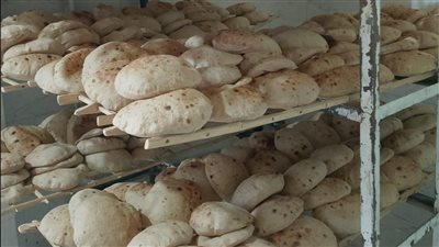 التموين: ثبات حصص المواطنين من الخبز المدعم بواقع 5 أرغفة يوميا