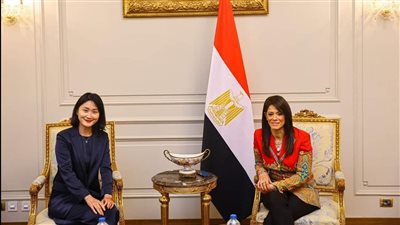 المشاط تبحث مع مسئولي الوكالة الصينية للتعاون الإنمائي تفعيل مذكرة التفاهم حول مبادلة الديون