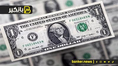 الدولار يلامس الـ 48 جنيهًا في مصر.. جولدن مان ساكس: نظام سعر الصرف الحالي حر ومعوم بشكل حقيقي