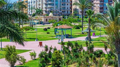 الإسكان: زراعة أكثر من مليون م2 مسطحات خضراء بدمياط الجديدة