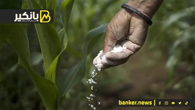 3 دول كبرى مهتمة بالاستثمار في مصر.. اجتماع مهم مع شنايدر.. وانخفاض مفاجيء للذهب