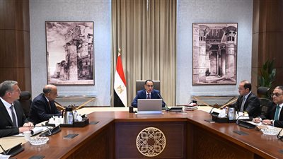 مدبولى: تكليفات من الرئيس بإسراع دخول قدرات كبيرة من الطاقة المتجددة على الشبكة الكهربائية