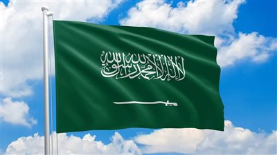 سر الاستثمار السعودي في الصعيد.. مشروع عالمي يقلب الموازين