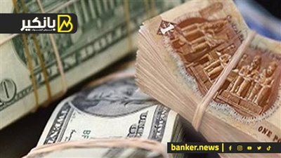 خبير يتوقع انخفاض طفيف في سعر الدولار أمام الجنيه خلال الشهرين المقبلين لهذه الأسباب