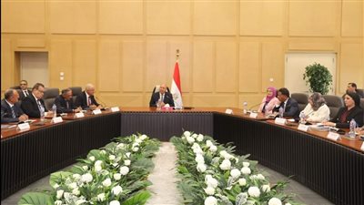 الوزير يستعرض رؤية وخطة المرحلة المقبلة للنهوض بقطاع الصناعة في مصر