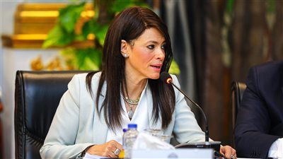  رانيا المشاط : حوكمة الإنفاق الاستثماري تساعد البنك المركزي في جهوده لاحتواء التضخم