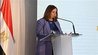 رئيس صندوق الإسكان الاجتماعي: جار طرح المتبقي من 