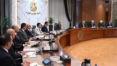 مدبولي: ملف السكان يحظى باهتمام مختلف أجهزة الدولة