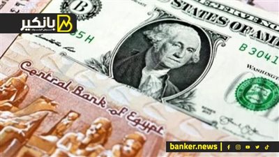 سعر الدولار أمام الجنيه المصري في تعاملات اليوم الإثنين 29-7-2024