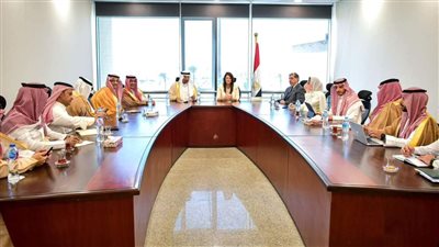 المشاط: مصر عازمة على تطوير البيئة الاستثمارية وإفساح المجال للقطاع الخاص