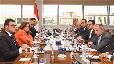 الشربيني: تنفيذ 32 ألف و288 وحدة 