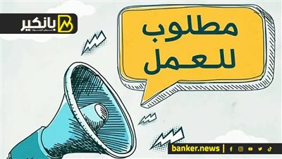 45 ألف فرصة عمل جديدة تنتظر شباب مصر.. اعرف التفاصيل