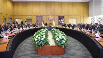 المشاط: إجراءات حوكمة الإنفاق الاستثماري تفسح المجال للقطاع الخاص لضخ الاستثمارات