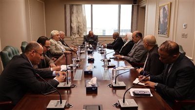 وزير الكهرباء: نعمل على تلبية الاحتياجات ومواجهة التعديات والسرقات بتغليظ العقوبات