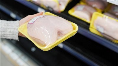 فيها سم قاتل... شوف أسباب وقف استيراد الفراخ البرازيلية