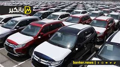 القرار الصعب.. ليه الحكومة وقفت استيراد سيارات المعاقين؟.. مفاجأة في التفاصيل