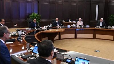 مدبولي يتابع ملف توطين صناعة الهواتف المحمولة للتصدير من مصر