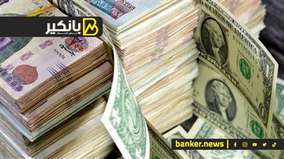 سعر الدولار أمام الجنيه المصري في نهاية تعاملات اليوم الثلاثاء 13-8-2024