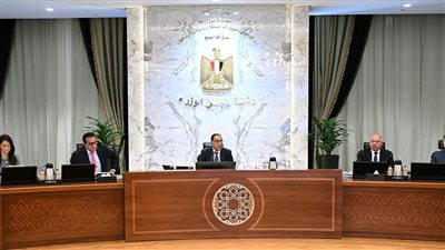 رئيس الوزراء: لن يتم غلق مصنع إلا بقرار مني شخصيا