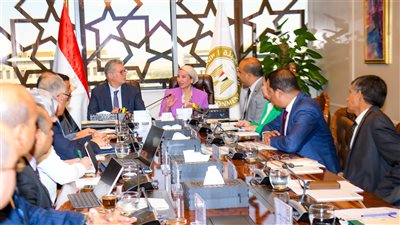 البترول: منح رخصة لشركات تجميع زيت الطعام المستعمل لإعادة تدويره لإنتاج وقود للطائرات