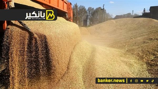 حجم استيراد القمح