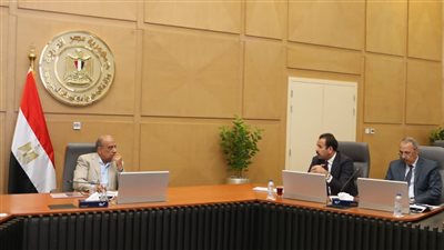 عصمت: اتاحة الكهرباء ضرورة لمتطلبات التنمية المستدامة وجذب الاستثمارات