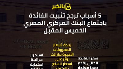  5 أسباب ترجح تثبيت الفائدة باجتماع البنك المركزي المصري الخميس المقبل