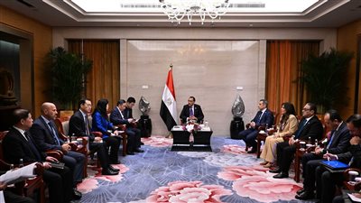 مدبولي يدعو شركة صينية للإسراع في إنشاء مصانع لتوطين صناعات الطاقة المتجددة