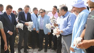 وزير الزراعة يفتتح موسم جني القطن بالتزامن مع احتفالات عيد الفلاح