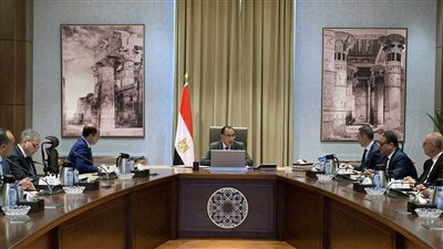 رئيس الوزراء يبحث وضع ضوابط لتنظيم سوق السيارات في مصر