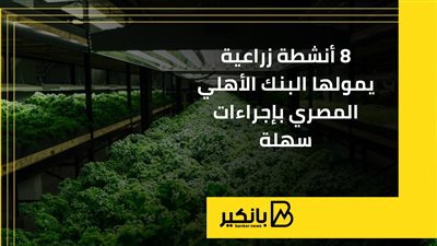 8 أنشطة زراعية يمولها البنك الأهلي المصري بإجراءات سهلة
