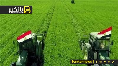 كيف تحصل على قطعة أرض زراعية من الدولة؟