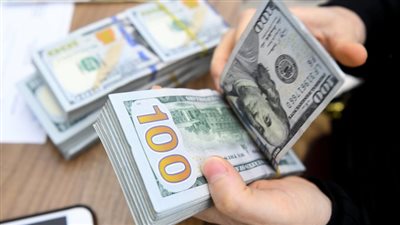 سعر الدولار اليوم الجمعة 14-2-2025 في البنك المركزي المصري