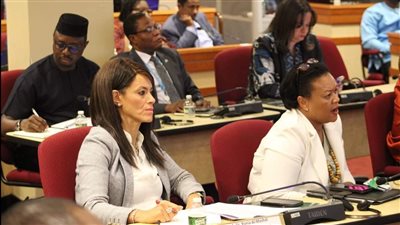 المشاط تؤكد أهمية إنشاء وكالة تصنيف إقليمية توفر تقييمات أكثر دقة