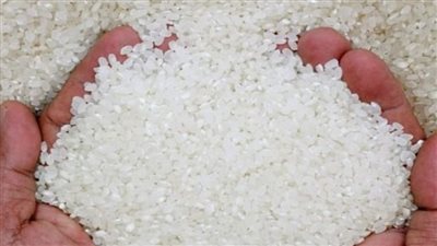 عضو غرفة صناعة الحبوب: بعض المواطنين يستثمرون أموالهم في الأرز.. والشعير بـ21 ألف جنيه